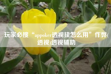 玩家必搜“appoker透视挂怎么用”作弊(透视)透视辅助