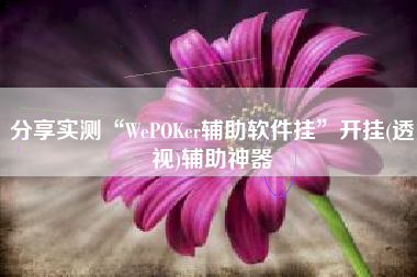 分享实测“WePOKer辅助软件挂	”开挂(透视)辅助神器