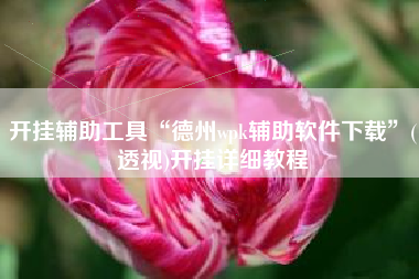 开挂辅助工具“德州wpk辅助软件下载	”(透视)开挂详细教程