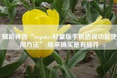 辅助神器“wepoker轻量版手机透视功能使用方法”(原来确实是有插件