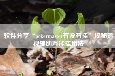 软件分享“pokermaster有没有挂	”揭秘透视辅助万能挂用法