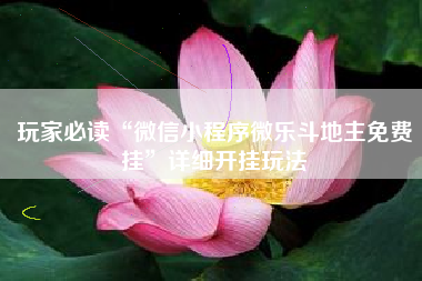 玩家必读“微信小程序微乐斗地主免费挂”详细开挂玩法