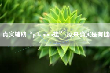 真实辅助“pokemmo挂”(原来确实是有挂)