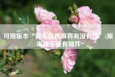 可用版本“微乐陕西麻将有没有挂”(原来确实是有插件