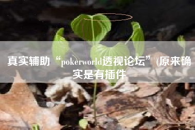 真实辅助“pokerworld透视论坛	”(原来确实是有插件