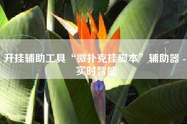 开挂辅助工具“微扑克挂脚本”辅助器 - 实时智能