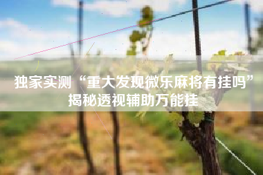 独家实测“重大发现微乐麻将有挂吗”揭秘透视辅助万能挂