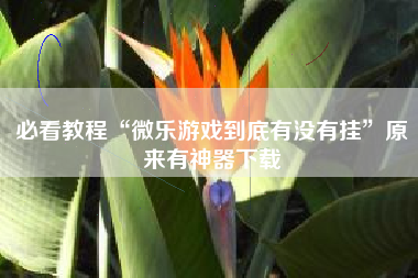必看教程“微乐游戏到底有没有挂	”原来有神器下载