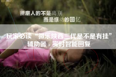 玩家必读“微乐陕西三代是不是有挂”辅助器 - 实时智能回复