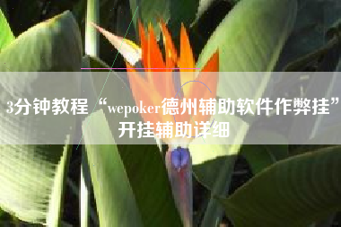 3分钟教程“wepoker德州辅助软件作弊挂	”开挂辅助详细