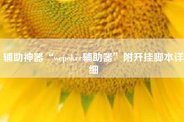 辅助神器“wepoker辅助器”附开挂脚本详细