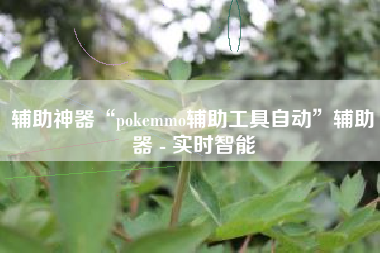 辅助神器“pokemmo辅助工具自动”辅助器 - 实时智能