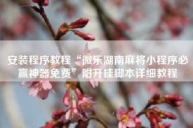 安装程序教程“微乐湖南麻将小程序必赢神器免费	”附开挂脚本详细教程