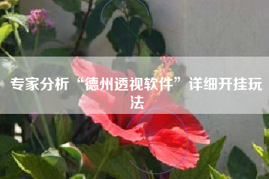 专家分析“德州透视软件”详细开挂玩法