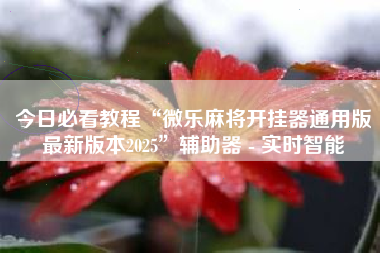 今日必看教程“微乐麻将开挂器通用版最新版本2025	”辅助器 - 实时智能