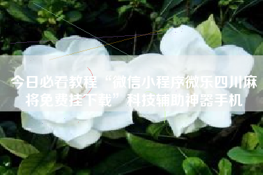 今日必看教程“微信小程序微乐四川麻将免费挂下载”科技辅助神器手机