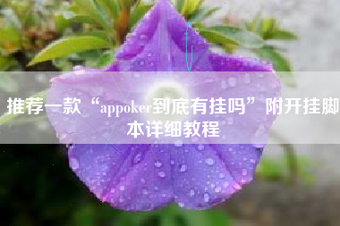 推荐一款“appoker到底有挂吗”附开挂脚本详细教程