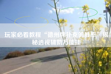 玩家必看教程“德州牌扑克的胜率”揭秘透视辅助万能挂